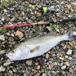 ががっときました。