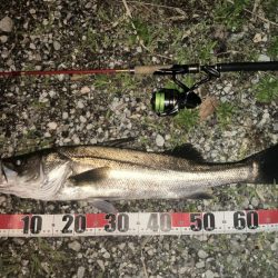 ゴツっときました。