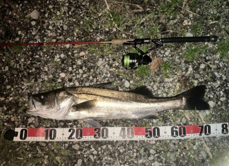 ゴツっときました。