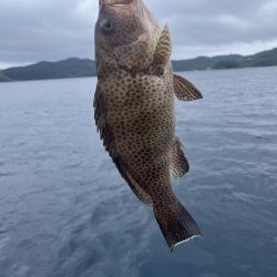 レンタルボートで根魚