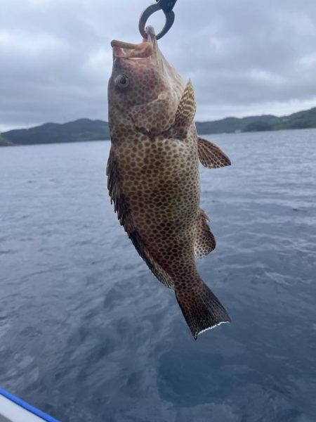レンタルボートで根魚