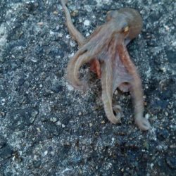 時合の一瞬だけ