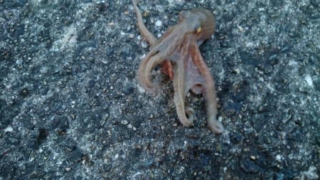 時合の一瞬だけ