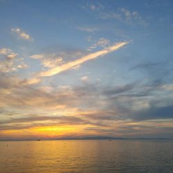 エギングたまにメバリング