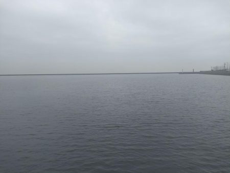 夕方前からサクッとタコ釣り