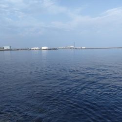 2番船でタコ釣り