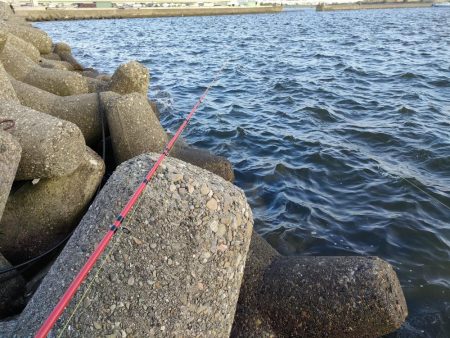 テトラで夕方に