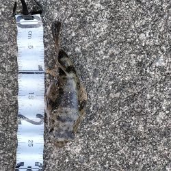 三重和歌山遠征 前半