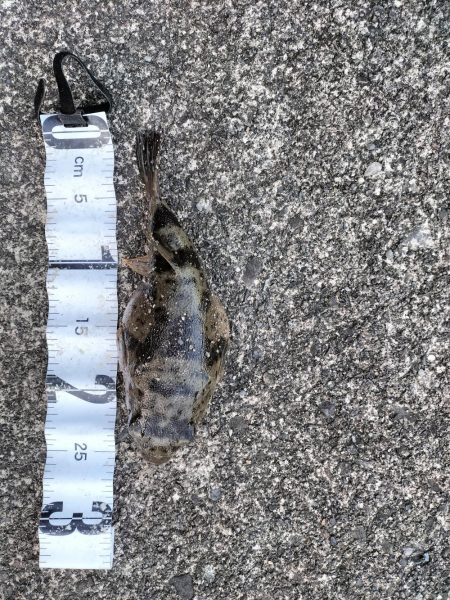 三重和歌山遠征 前半