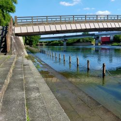 今日もタナゴ釣りは、、、?!