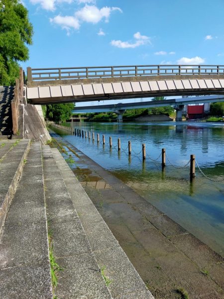 今日もタナゴ釣りは、、、?!