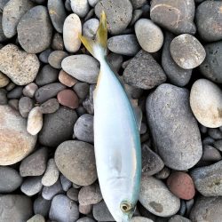 三重和歌山遠征 後半