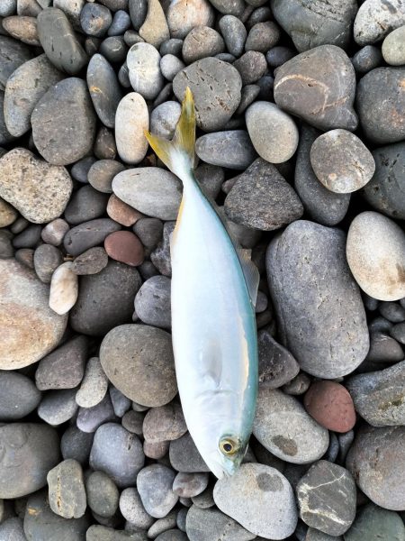 三重和歌山遠征 後半