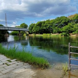 今年は、いまいち?