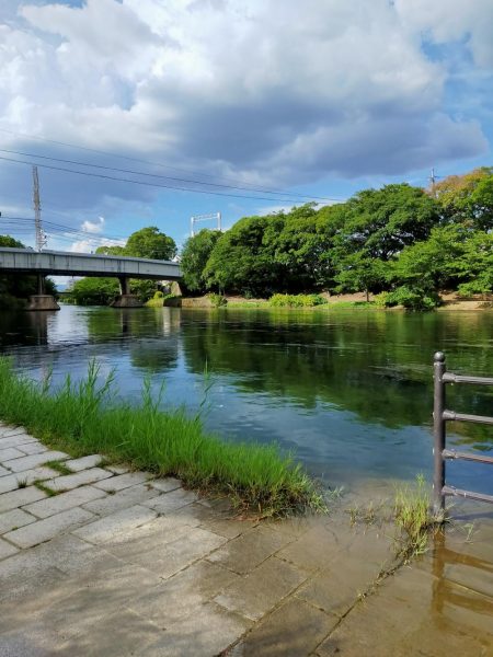 今年は、いまいち?