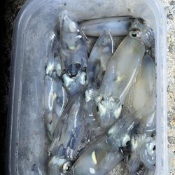 ありがとう！！ヒイカさん