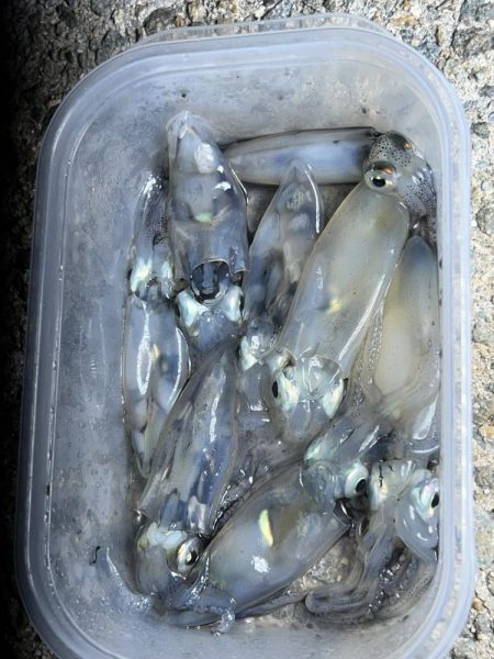 ありがとう！！ヒイカさん