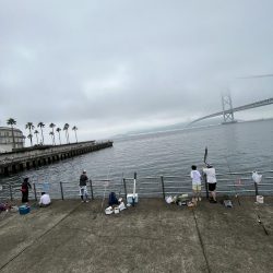 雨あがりのサビキ