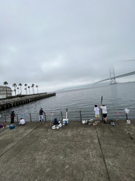 雨あがりのサビキ
