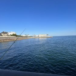 海の日、猛暑の日