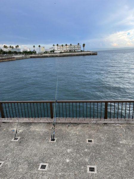 熱いがアジ好調