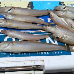 活性上がらない播磨新島のキス