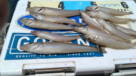 活性上がらない播磨新島のキス