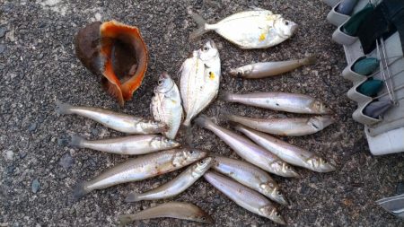 シーズン初の津居山釣行