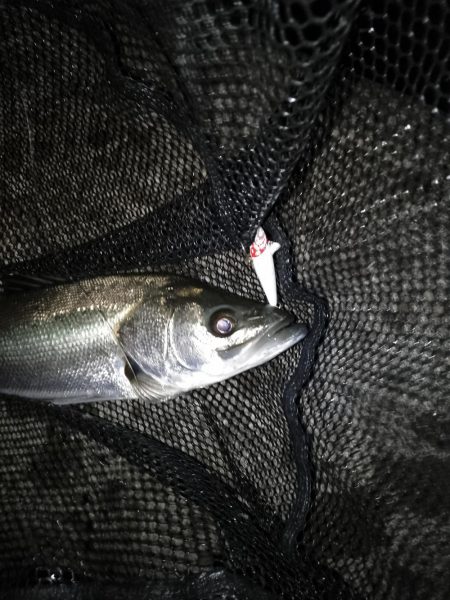 気持ちいい北風