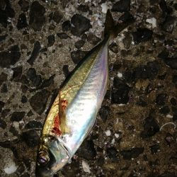 戻ってきました？