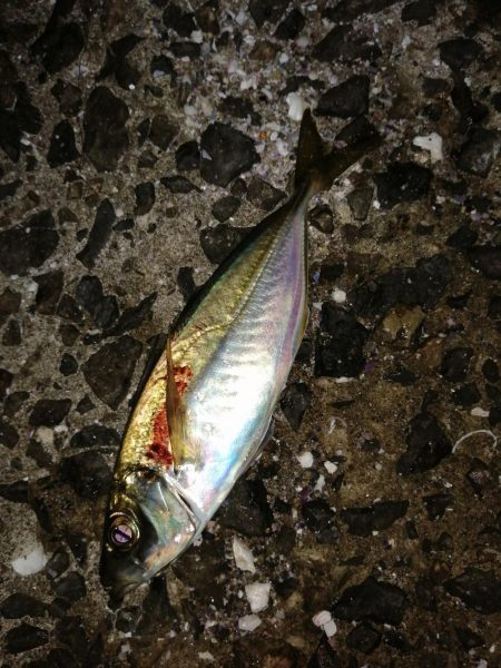 戻ってきました？