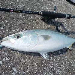 スーパーライトショアジギング