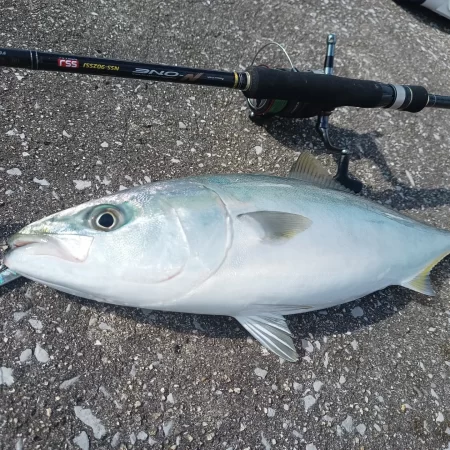 スーパーライトショアジギング