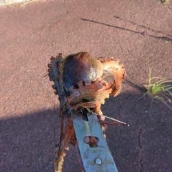 青物・タコ撃沈