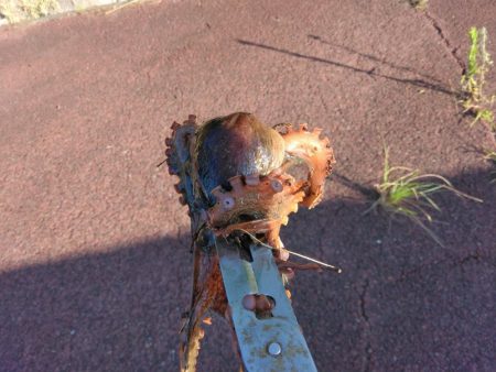 青物・タコ撃沈