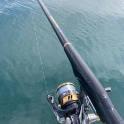 まさかの魚種！