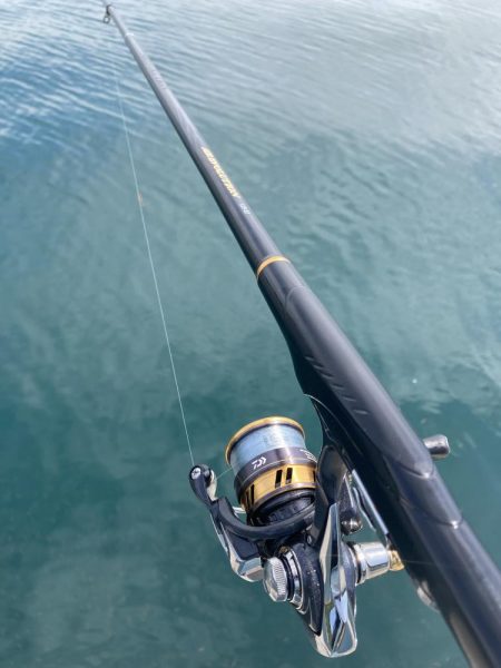 まさかの魚種！