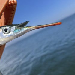 サバサバサバサバサヨリ