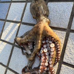 640gとリリースサイズ