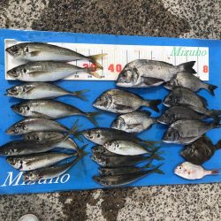 夏の筏釣り