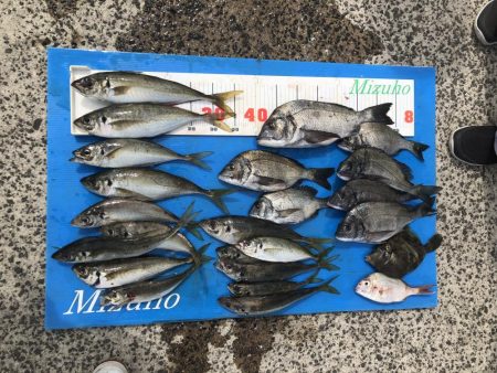 夏の筏釣り
