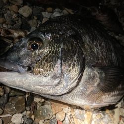 久しぶりの再会