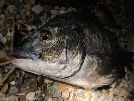 久しぶりの再会