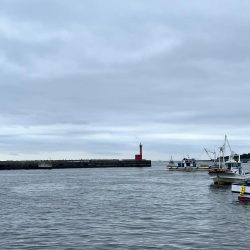 チニングだったのに