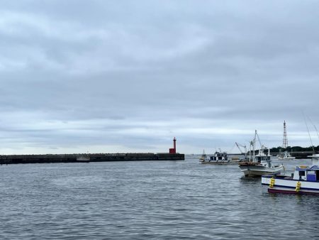 チニングだったのに