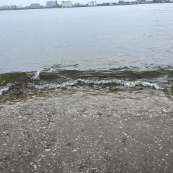雨でも釣行！！