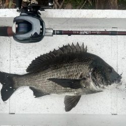 15日，午前の部。