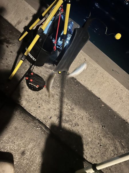 ３連休最終日の午前の部！！