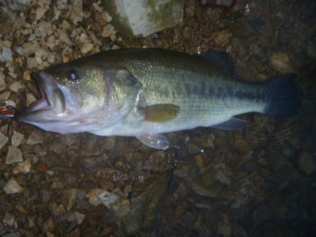 7月バス　その２