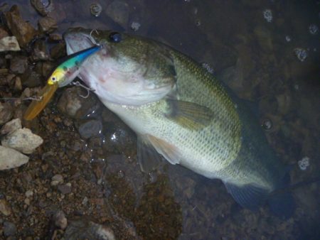 7月バス　その3